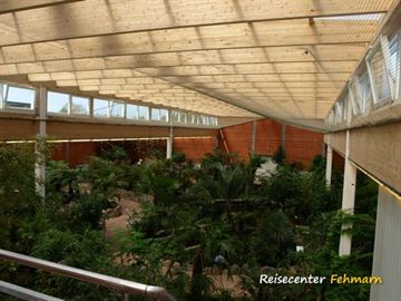Schmetterlingspark Fehmarn Schmetterlingspark Fehmarn