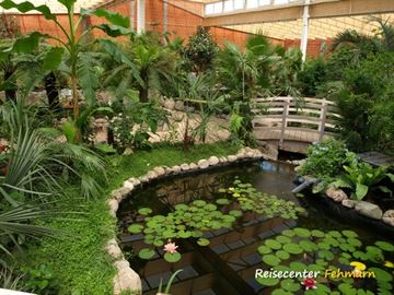 Schmetterlingspark Fehmarn Schmetterlingspark Fehmarn