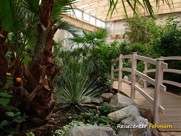 Schmetterlingspark Fehmarn Schmetterlingspark Fehmarn