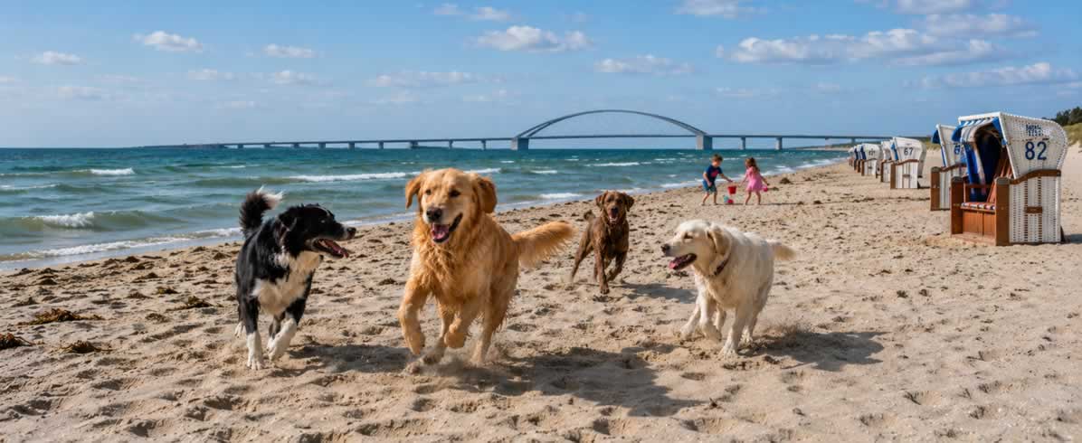 Hunde am Strand (KI erstellt)