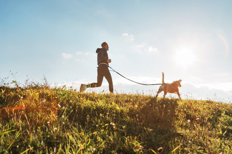 Joggen mit Hund auf Fehmarn