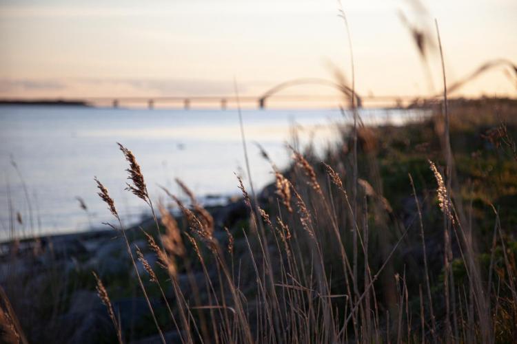 Ferienhaus Strandhuus Bild: 31 Ferienhaus Strandhuus Bild: 31