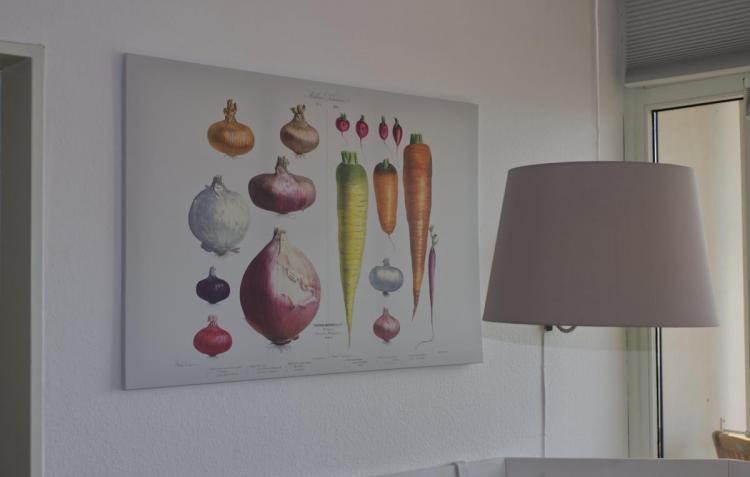 Inselblume 37 - Ferienwohnung mit Meerblick im Stranddistelweg 58 Bild: 11 Inselblume 37 - Ferienwohnung mit Meerblick im Stranddistelweg 58 Bild: 11