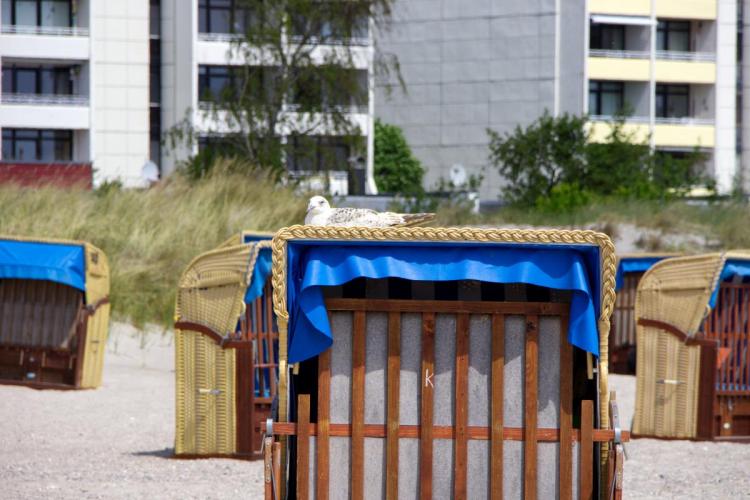 Inselblume 87 - Bungalow am Meer auf Fehmarn Bild: 2 Inselblume 87 - Bungalow am Meer auf Fehmarn Bild: 2