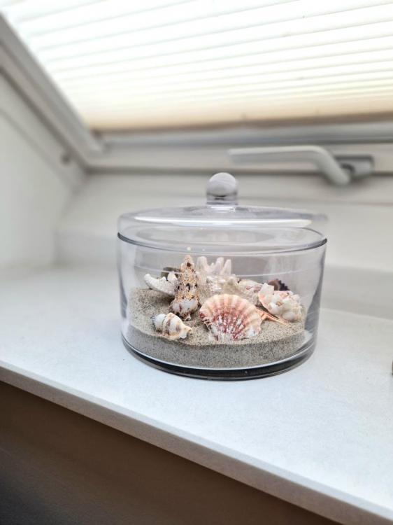 Ferienwohnung Seestern Bild: 13