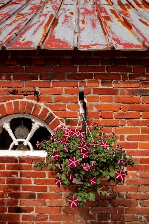 Landhaus Henrici Bild: 13 Landhaus Henrici Bild: 13