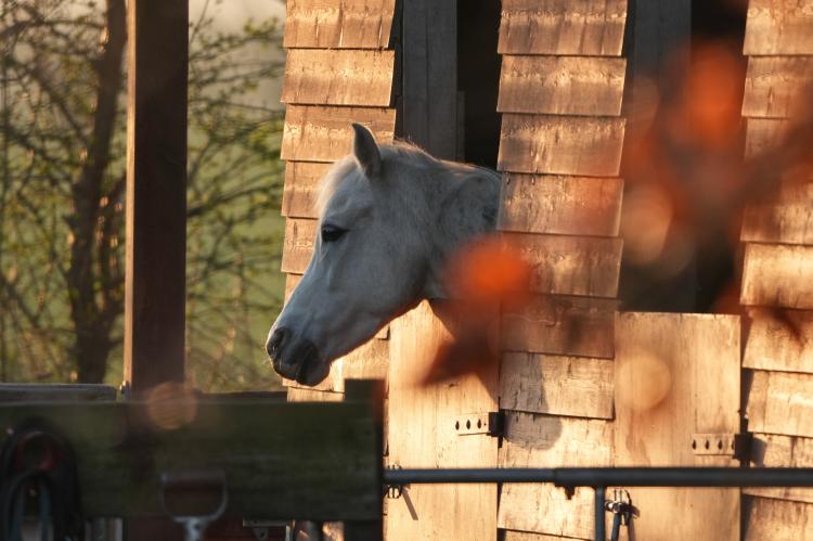 Ole Huus Bild: 62 Ole Huus Bild: 62