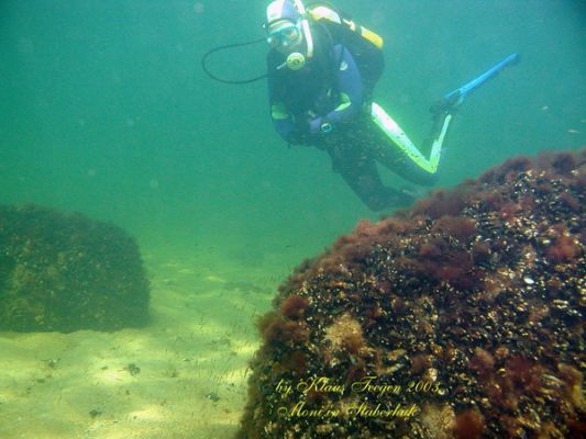 Fehmarns Unterwasserwelt